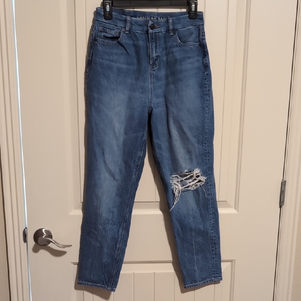 American Eagle Outfitters Blue Distressed Jeans - Short